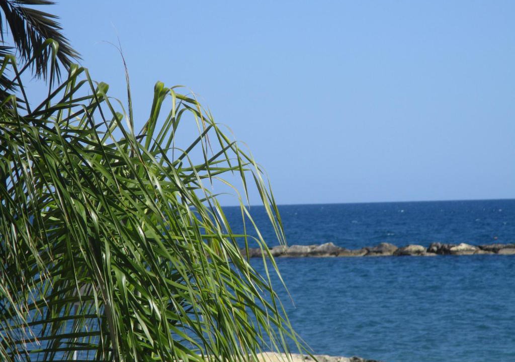 Potamos tis Germasogeias Apartment | Galatex Beach Studio
