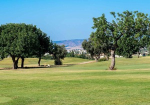 170 m² Villa ∙ 3 bedrooms ∙ 6 guests in Aphrodite Hills