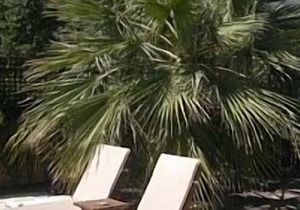 Bungalow With Pool, Mountain And Sea Views, AC, secure WIFI. 10 meter pool. in Catalkoy