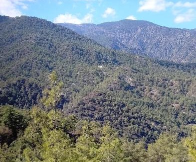 Vasa Koilaniou Cabin | Anastasi Tiny Homes- Mountain Views, Garden & Terrace, Pet Friendly