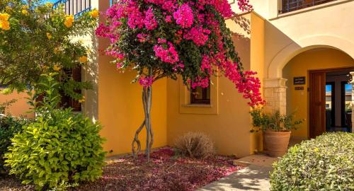Aphrodite Hills Apartment | Ground floor Apartment Anthos with Beautiful Sea Views on Aphrodite Hills Resort