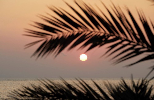 Kissonerga Hotel | Mare Paphos