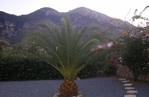 Kyrenia District Villa | Private Pool with Sea And Mountain View’s