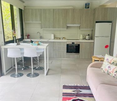 Kalopanayiotis Apartment | Riverside Suite