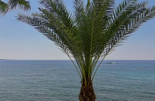 Old Town Villa | Sea Front1st Line Modern Villa in the Heart of Coral Bay Paphos FREE HEATED POOL