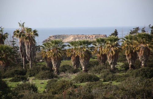 Pegeia Villa | Villa Lesbos is a lovely spacious 2 bedroom villa with a private pool near Beach
