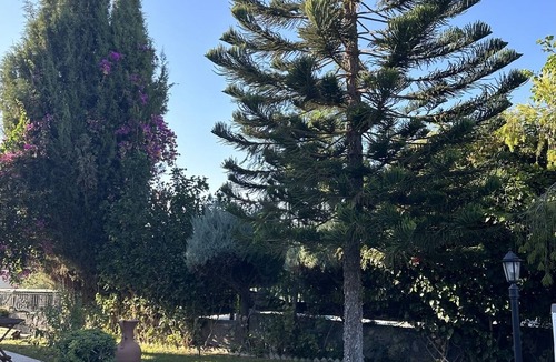 Dogankoy Villa | VILLA SCOBLE with private pool in Bellapais Village.