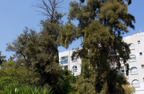 Agios Tychon Apartment | White Arches Sea View Apt No.1