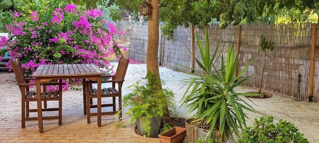 100m from the sea. Front patio and back garden/veranda in Latchi