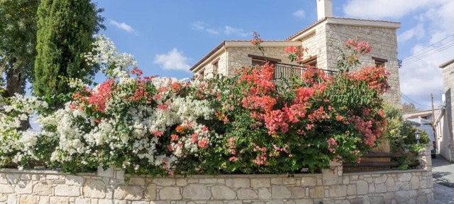 Almond Grove Villa - Peaceful Retreat in Simou in Simou
