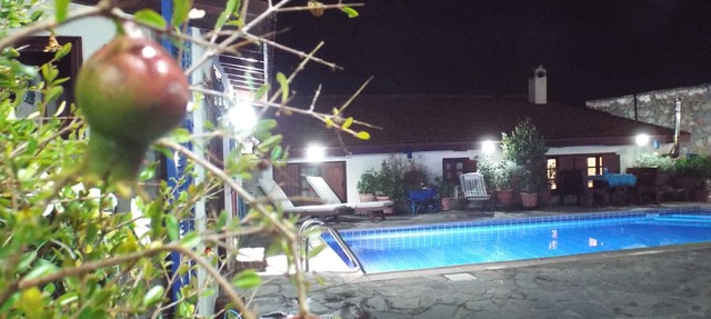 An amazing,fully renovated villa in Eptagonia village,just 15 min from Limassol. in Eptagonia