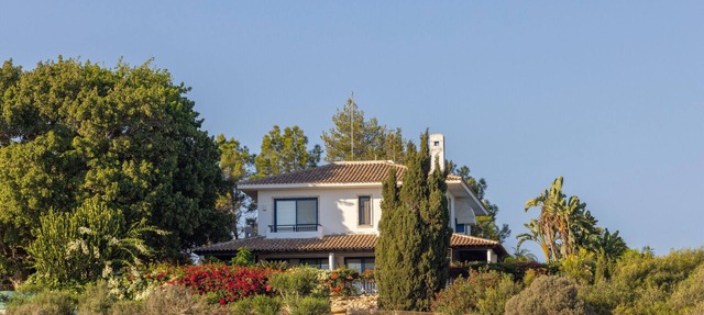 Ayia Napa Sycamore Seaview in Ayia Napa