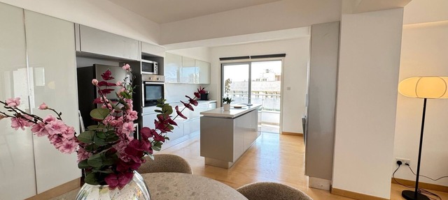 Balcony Views - Specious 2 BR Flat in Nicosia