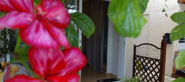 "Heart for Art" Studio Apartment 700m from the sea and close to amenities in Paphos
