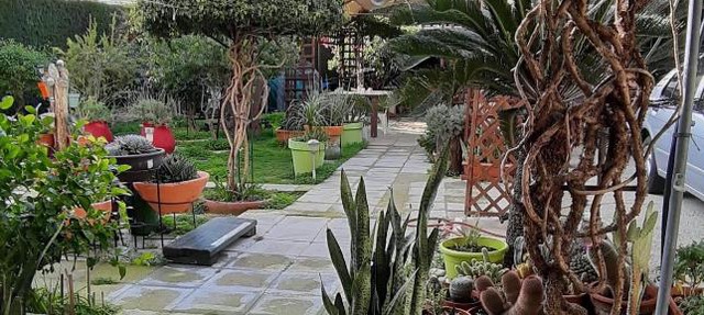 Independent Bedroom with private wc+shower in Larnaka