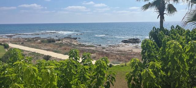 Location, Location! Lovely beachfront apartment with restaurant onsite. in Kissonerga