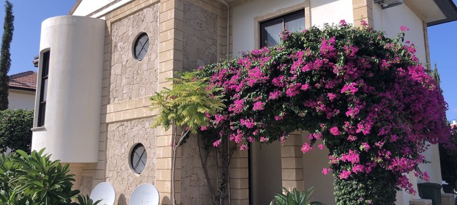 Luxury 4 Bedroom, 3 Bathroom Mediterranean Villa in Lapta minutes from the Sea in Lapta