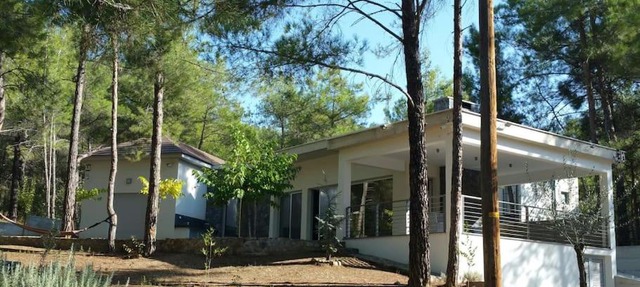 Moniatis Villa in Moniatis