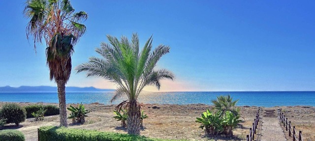 Nature - Direct To Sandy Beach, Impressive Villa, Quiet area in Agia Marina Chrysochous