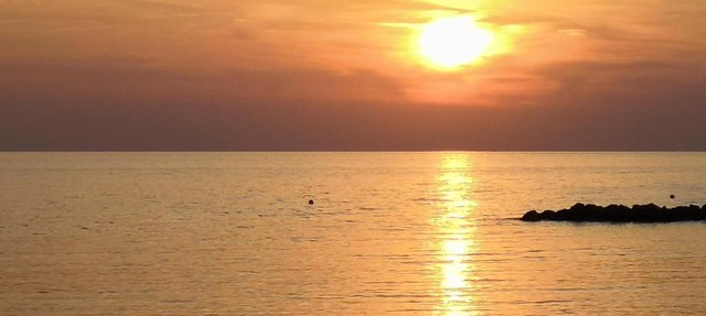 Premium Beach Studio WH 13 in Polis Chrysochous