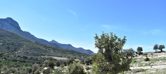 Private Family Villa in Arapkoy in Girne