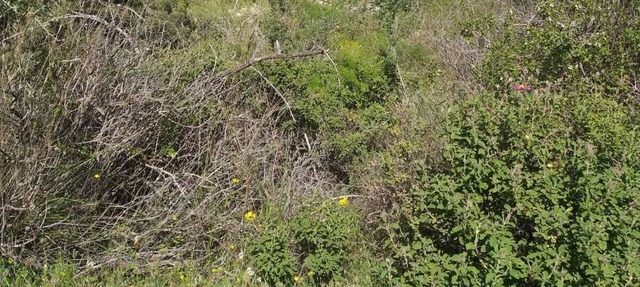 Privatwohnung mit 2 Schlafzimmern in der Nähe der Küste in Alsancak