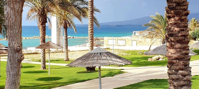 ROSE Villa , LUXURY 2bedroom 3bathroom Villa.Sleeps up to 6 people! in Paphos