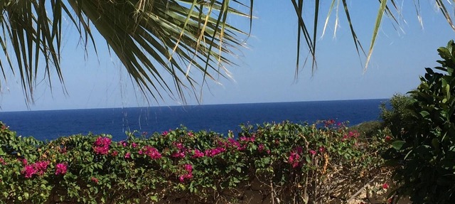 Spectacular and Exceptional Luxury Sea Front Villa with free wifi . Private pool in Esentepe