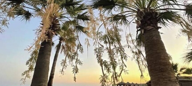 Tranquil Escape Suite by the Sea in Famagusta