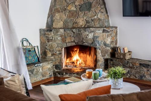 Platres Forest Cottage 