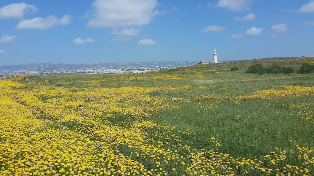 Photo of Outdoor in Paphos