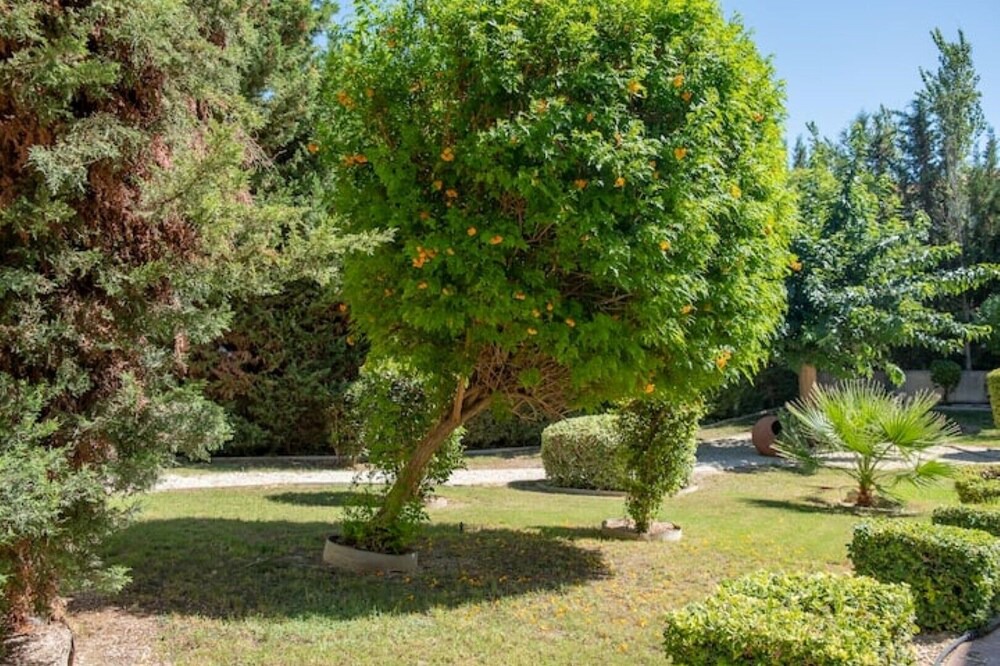 Photo of Others in Strovolos