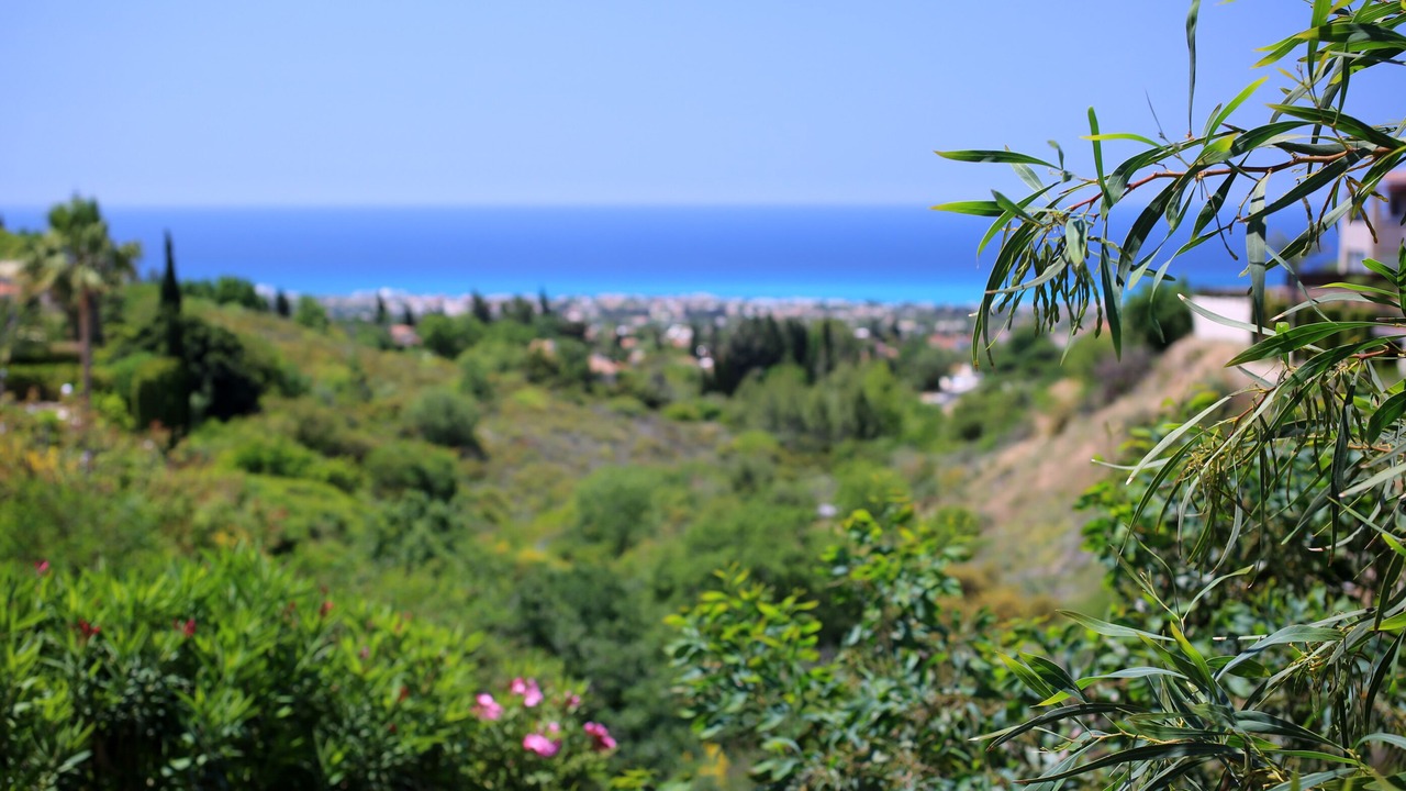 Photo of Outdoor in Tala