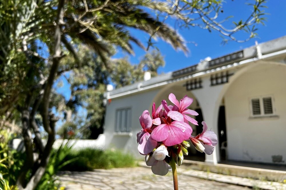 Photo of Outdoor in Kyrenia District