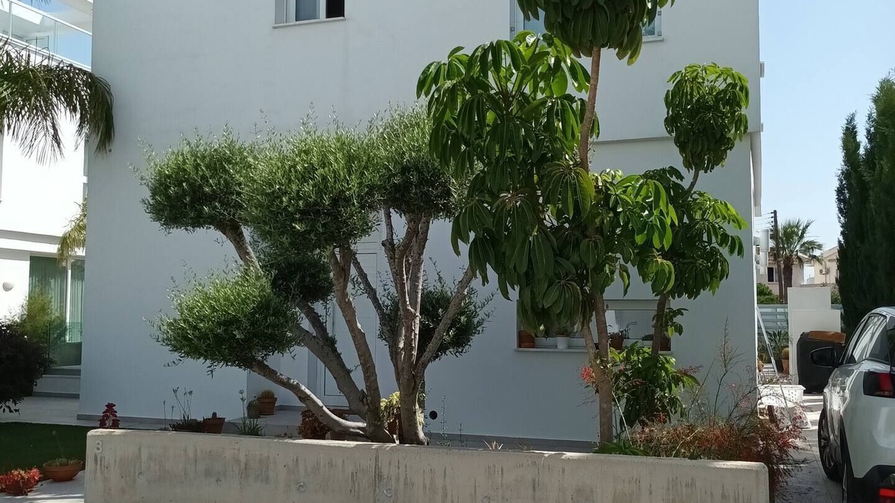 Photo of Outdoor in Oroklini