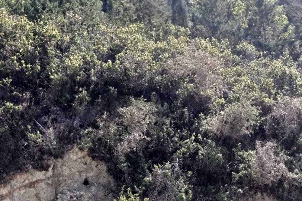 Photo of Outdoor in Karavas