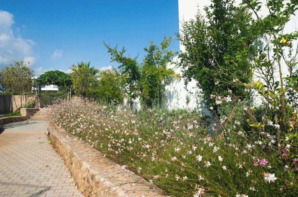 Photo of Outdoor in Pnarbas
