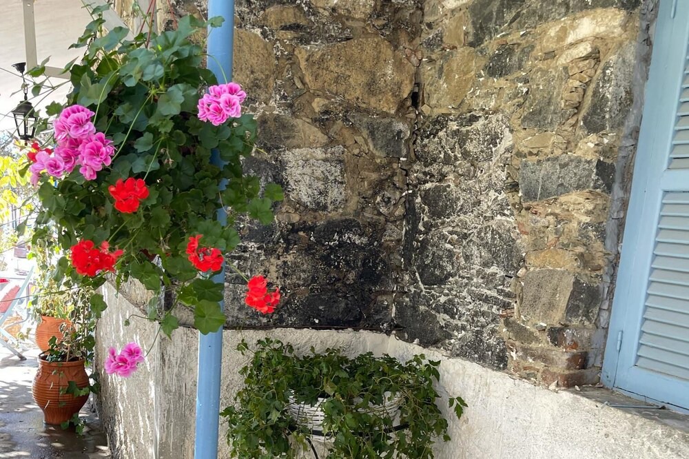 Photo of Others in Prodromos