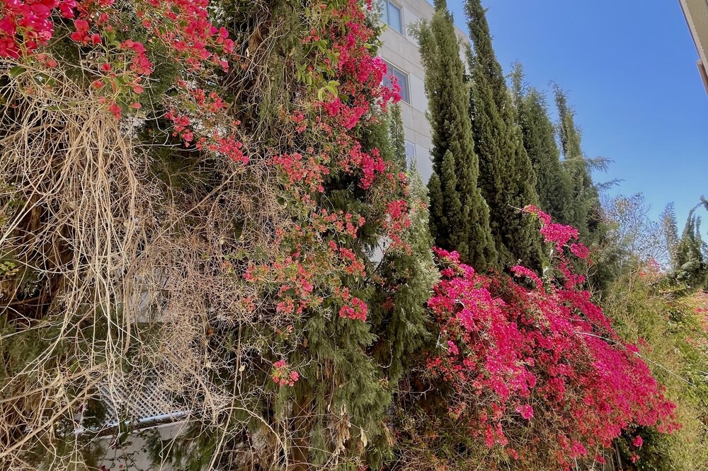 Photo of Outdoor in Acropolis