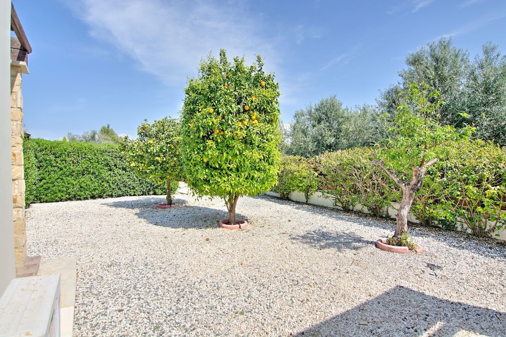 Photo of Outdoor in Polis