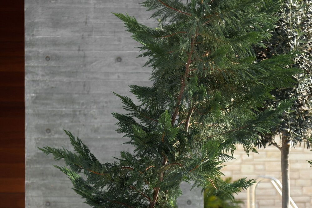 Photo of Outdoor in Emba