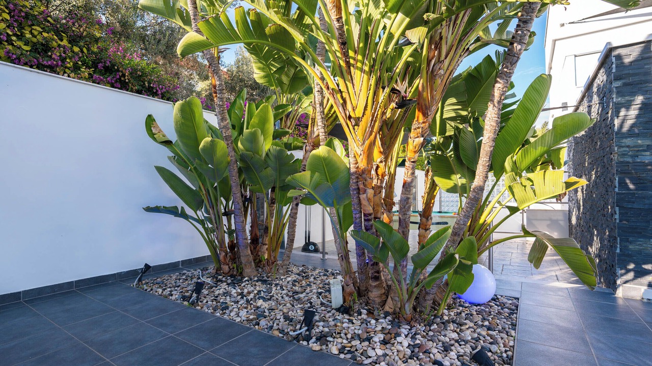 Photo of Outdoor in Cape Greko