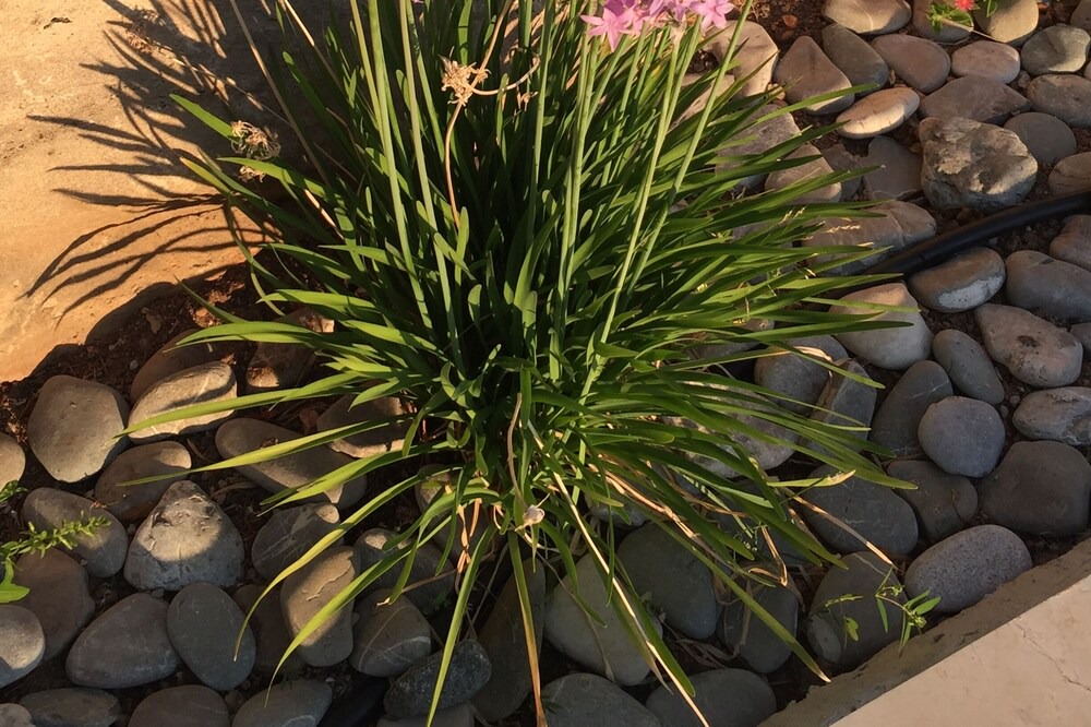 Photo of Outdoor in Anarita