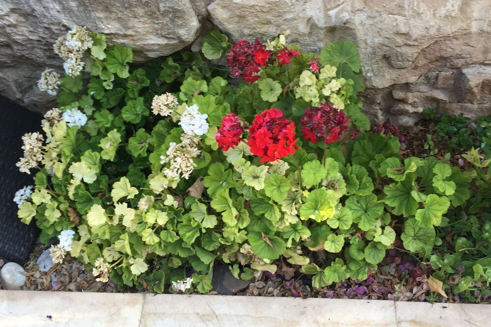 Photo of Outdoor in Anarita