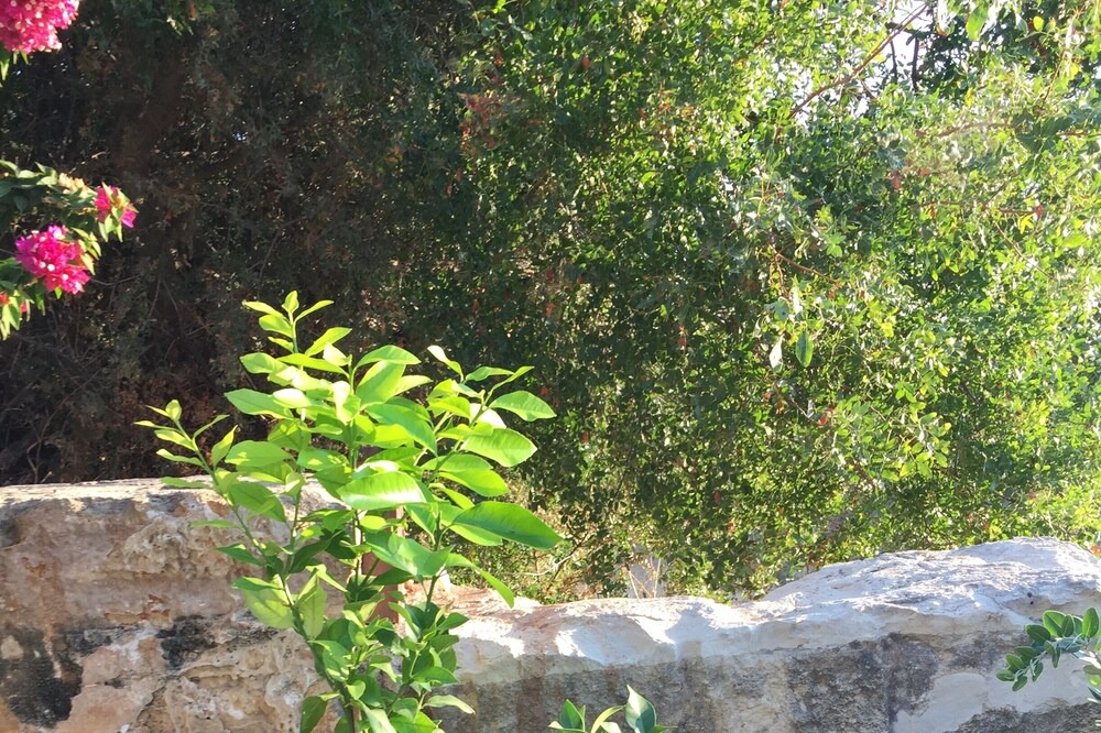 Photo of Outdoor in Anarita