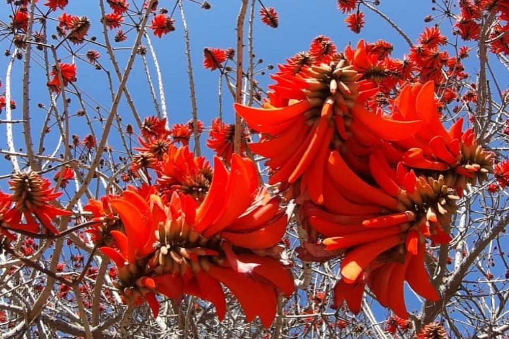 Photo of Outdoor in Tochni