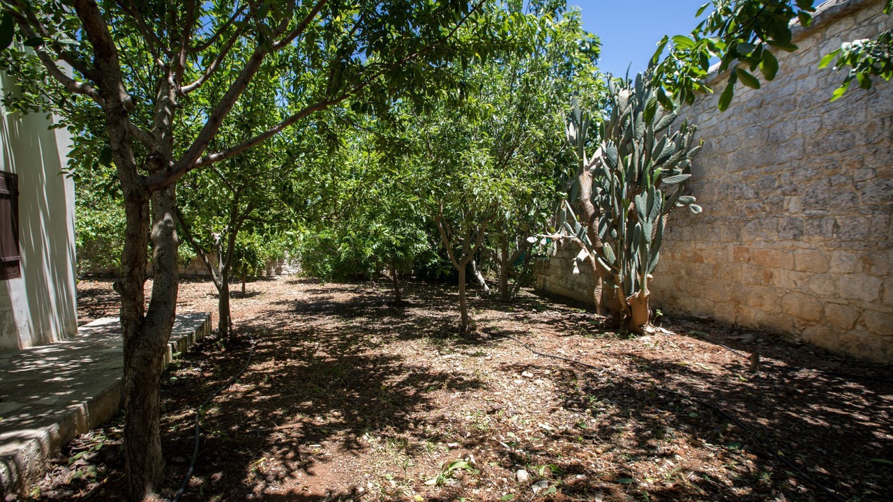 Photo of Outdoor in Droushia