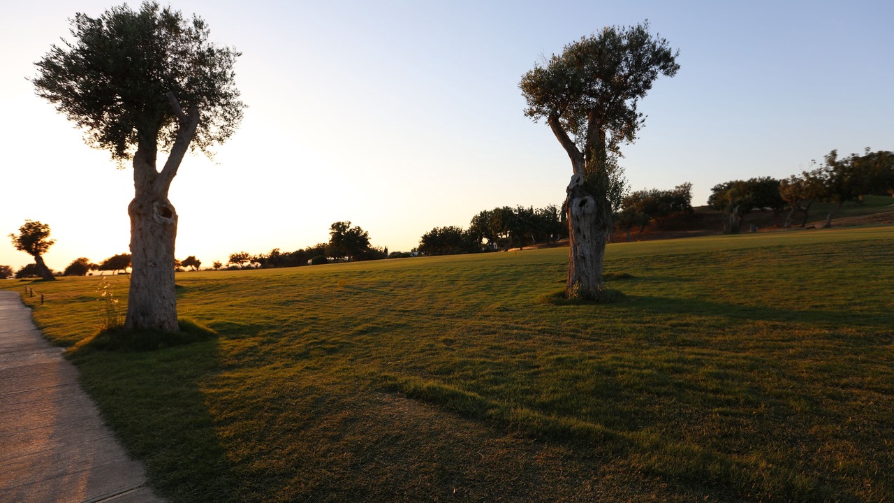Photo of Others in Aphrodite Hills