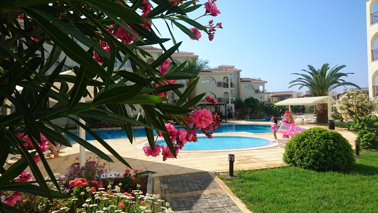 Photo of Outdoor in Gastria