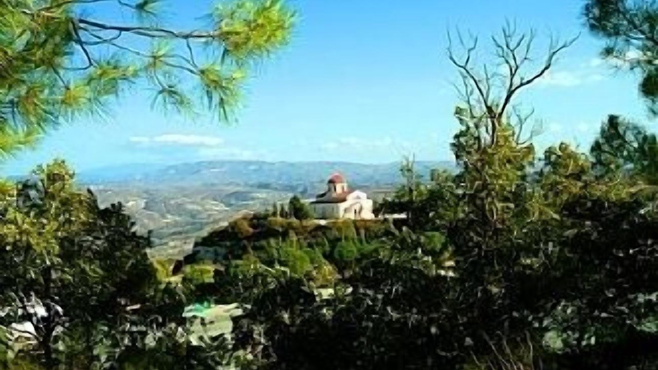 Photo of Others in Mandria